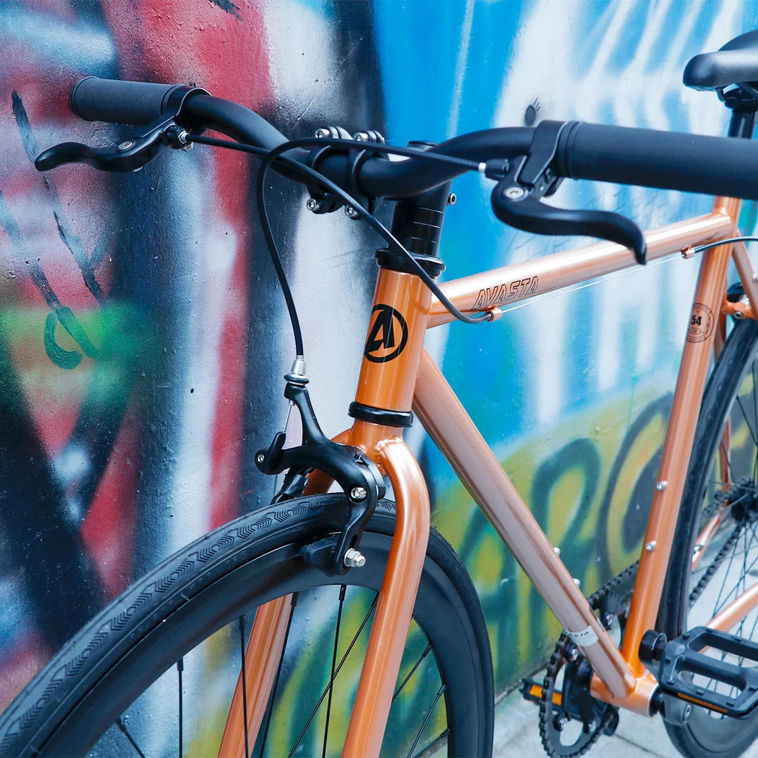 700C Fixed Gear Bike-Loop