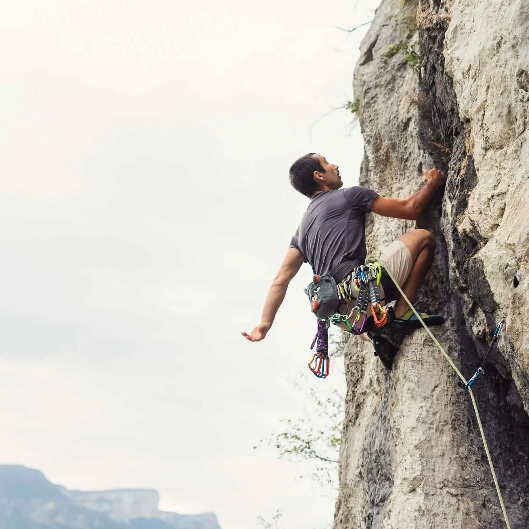 Grey Cat Rock Climbing Chalk Bag